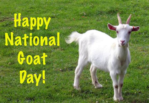 is there a national goat day